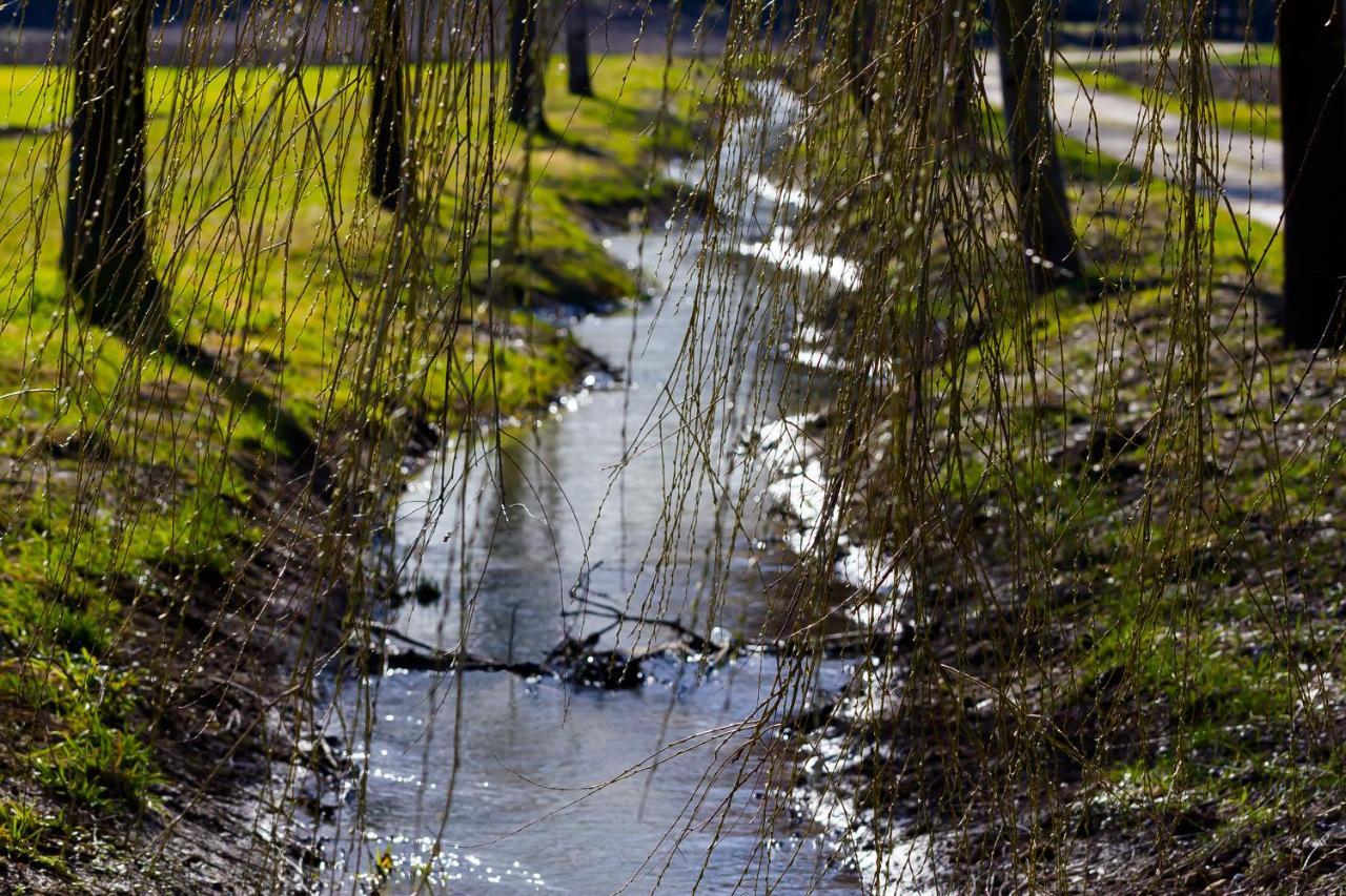 Harrauer´s Living Hotell Erlauf Exteriör bild
